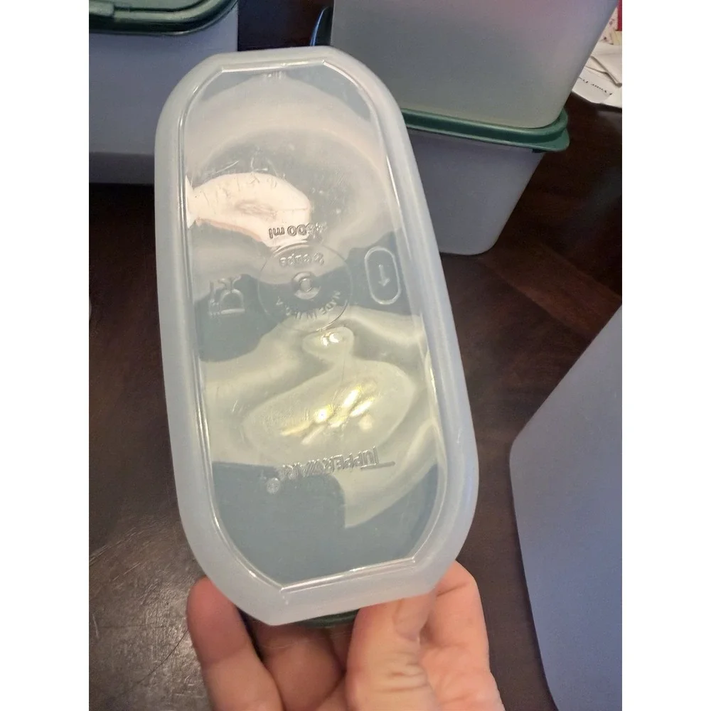 Tupperware Modular Mates Set Of Nine With Lids Green